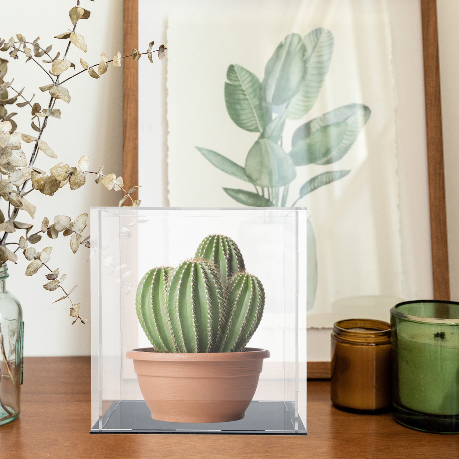 Acrylic Transparent Display Ca - Display Case Acrylic recension och pris