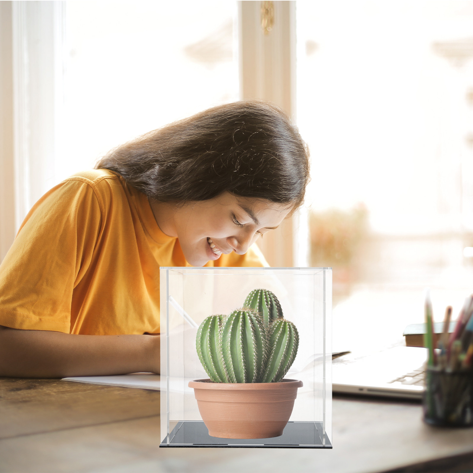 Acrylic Transparent Display Ca - Display Case Acrylic recension och pris