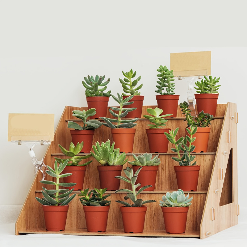 Wooden Display Rack, Farm Mark - Pop Display Shelf recension och pris