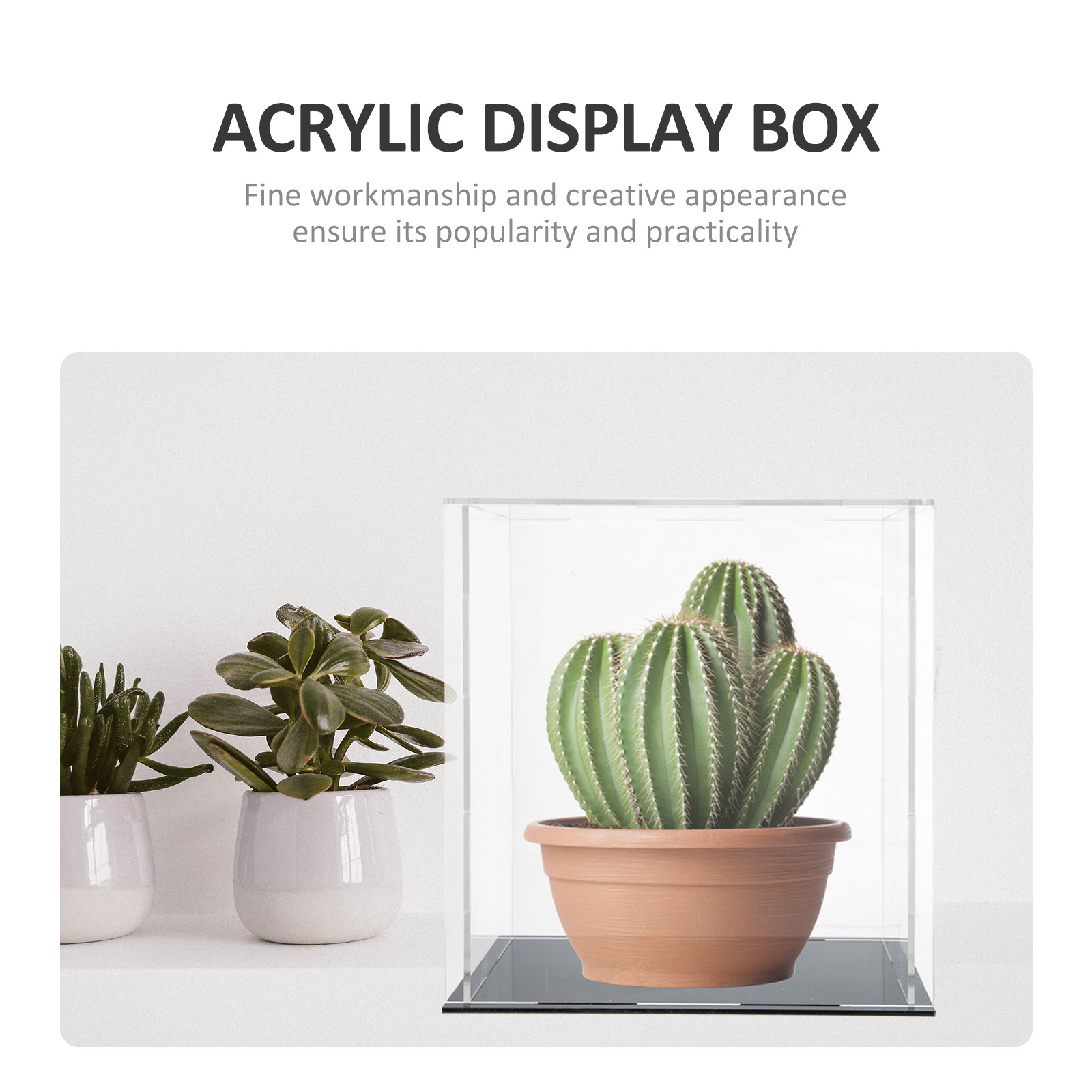Heavy-Duty Acrylic Display Box - Display Case Acrylic recension och pris
